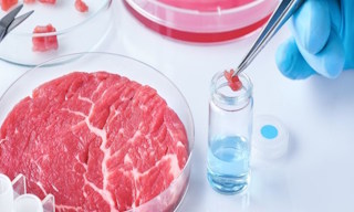 Лабораторный анализ пищевых продуктов по СанПиН в Архангельске в октябре
