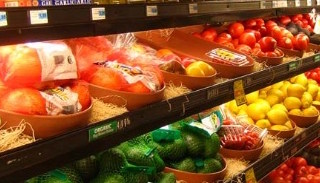 Сертификация пищевой продукции в Архангельске – цена от 10281 руб. | ПромМир-Рхн