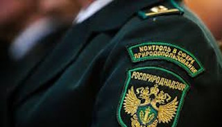 Подготовка к проверке Росприроднадзора в Архангельске от ПромМир-Рхн, стоимость услуги от 20562 руб.